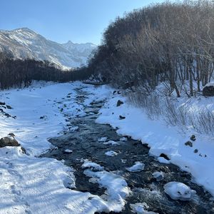 百分百的自我乐章