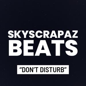 Don't Disturb (r&b instrumental) (r&b instrumental)