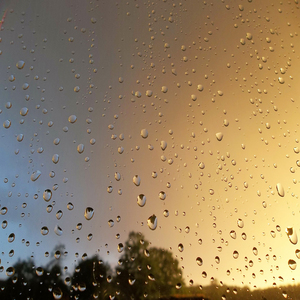 심리안정의 소리 (백색소음 명상 클래식자장가)