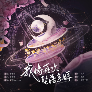 我将再次坠落余晖