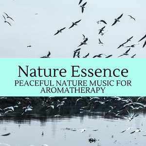 Living In The Oceanic House