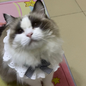 看不见