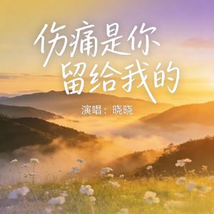 伤痛是你留给我的