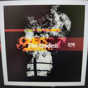 Pochodeň (feat. Ryini Beats)