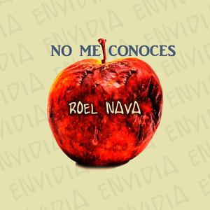 ROEL NAVA "NO ME CONOCES"