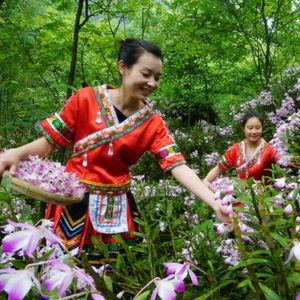 贵州花儿多又多