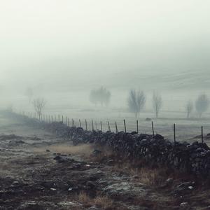 Frozen Plains