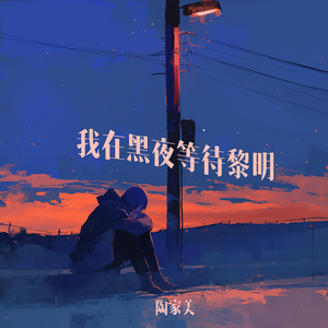 我在黑夜等待黎明
