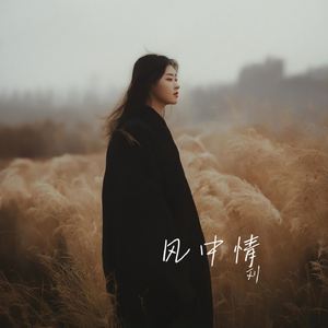风中情