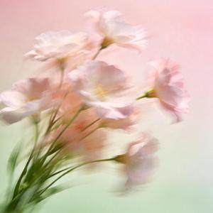 Please love yourself (请好好爱自己)