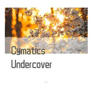 Cymatics-Cymatics - Undercover（啊宁 remix）