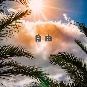 舒缓心情 (空灵鼓)