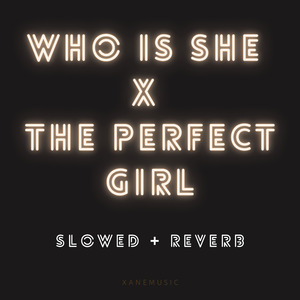 Who Is She x The Perfect Girl (slowed + reverb) (Remix)