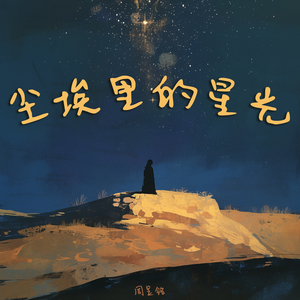 尘埃里的星光