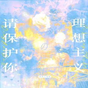 请保护你的理想主义