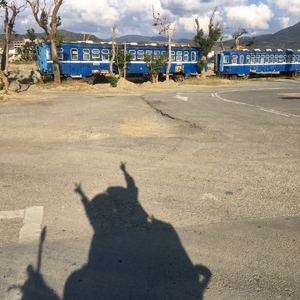 香格里拉 (翻自  waa)