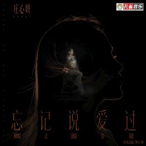 忘记说爱过
