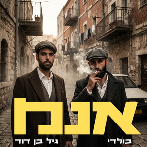 אנמ