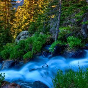 洛天依-伴奏（LMY remix）