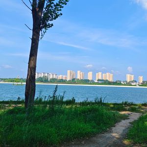 飞翔 伴奏