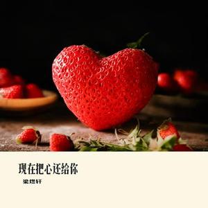 现在把心还给你 (Cover 施亦轩)