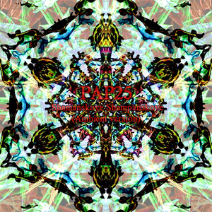 Shamanskoye Shampanskoye (Ambient Version)