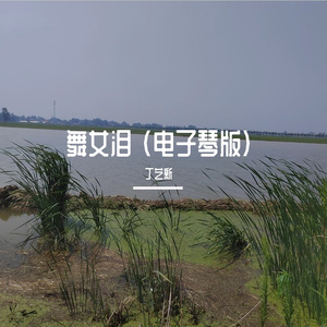 舞女泪 (电子琴版)