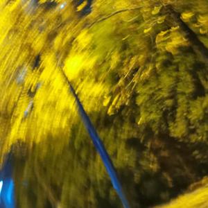 李志-热河（Li问号 remix）