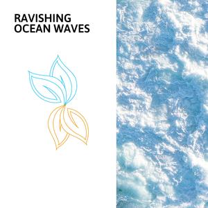 Oceanic Serenity Sea Waves