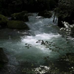 眼泪是回到过去的河流