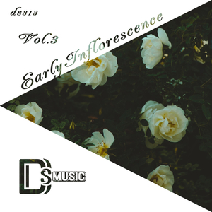 Us (Sound Forces Remix)