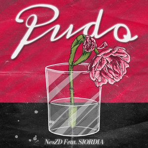 Pudo