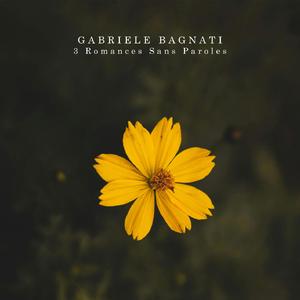 3 Romances sans paroles, Op. 17:III. Andante moderato