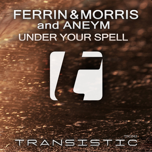 Under Your Spell (Original Mix)