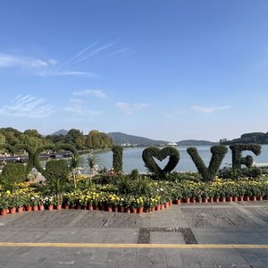 海边夏天的暗恋回忆