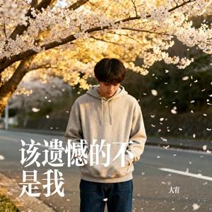 该遗憾的不是我