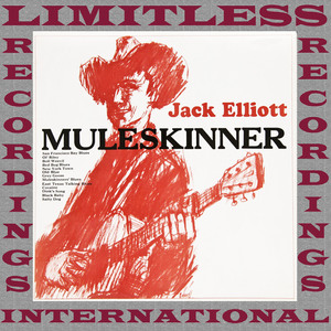 Mule Skinner's Blues (Original Mix)