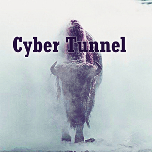 Cyber Tunnel