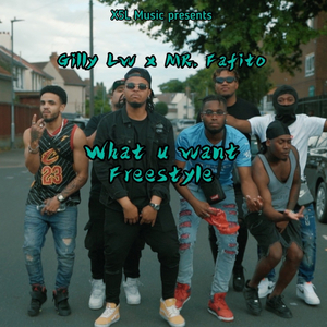 WHAT U WANT FREESTYLE (feat. MR Fafito)