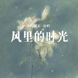 风里的时光