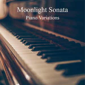 Moonlight Sonata (Metal Grand Piano)