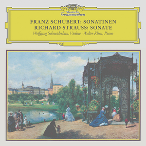 Violin Sonata in A Major, D. 574:III. Andantino
