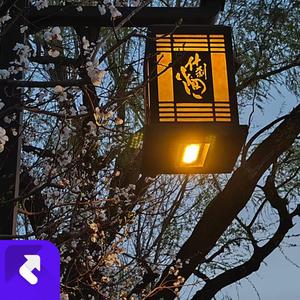 彩虹城市 (现场)