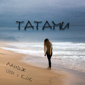 Татами