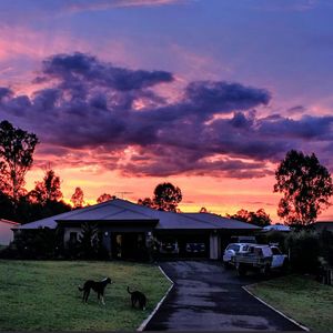 Tiamo（prod.wellwell）