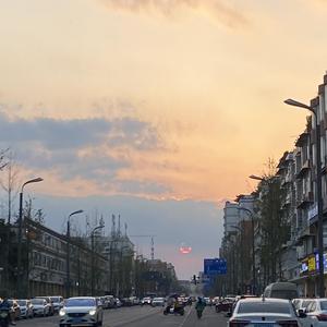 下个春天，她会回来吗