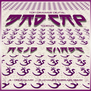 Acid Chant (Original Mix)
