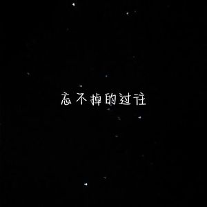 忘不掉的过往