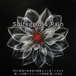 疲れを癒す春の風 (癒しの雨音)