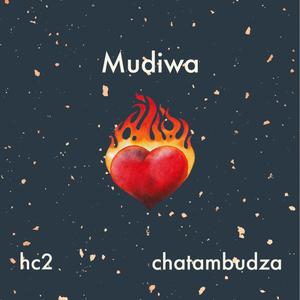 Mudiwa